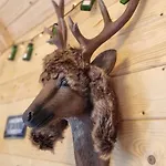 Osborne Lägenhet Obertraun