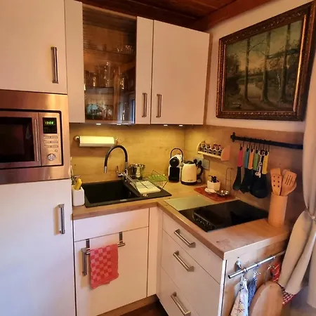 Landhaus Osborne * Obertraun